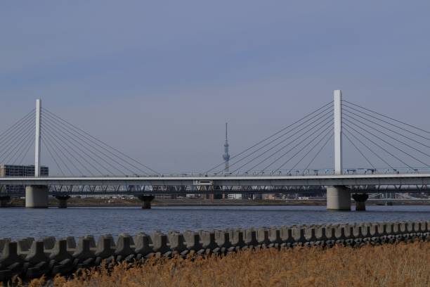 istock Scenery of Tokyo, Japan 1370247358