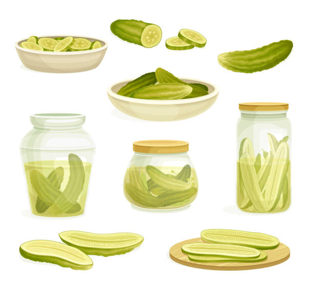 hausgemachte eingelegte gurken oder gurken in salzlake konserviert und auf teller vektor-set ausgeruht - pickled stock-grafiken, -clipart, -cartoons und -symbole