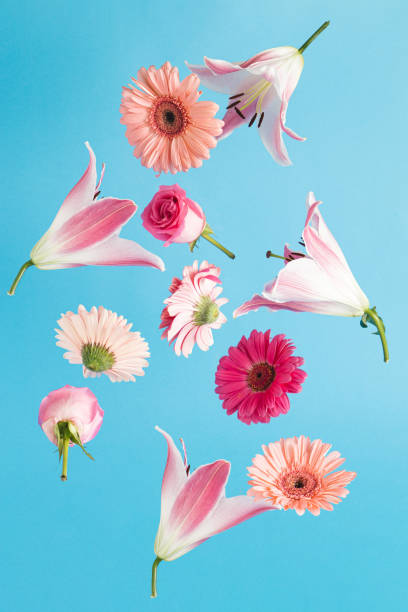istock Creative background with colorful fresh flowers. Minimal balance composition. 1370255218