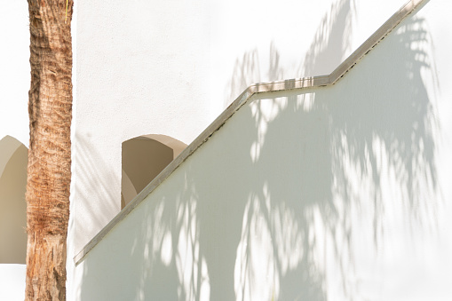 Abstract image with tree trunk and shadows on white architecture detail.