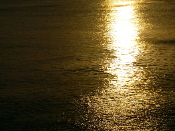 istock Gold shining calm sunset beach image texture photography. 1370258638