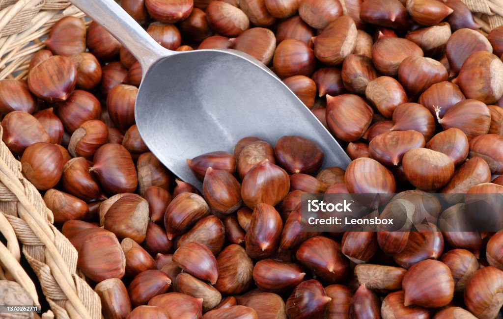 Fresh chestnuts at the farmer's market. Close up of chestnuts (german: Maroni) Chestnut - Food Stock Photo