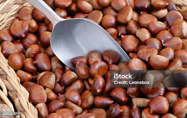 Fresh Chestnuts At The Farmers Market Stock Photo - Download Image Now - Chestnut - Food, Raw Food, Backgrounds