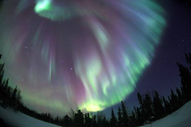istock Fabulous boreal lights in the Arctic sky 1370265018