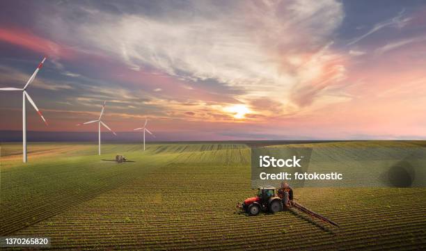 Tractor Spraying Pesticides On Soy Field With Sprayer At Spring Stock Photo - Download Image Now