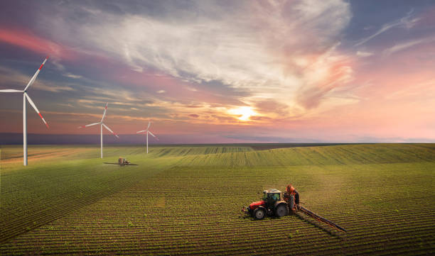 fotografii de stoc, fotografii și imagini scutite de redevențe cu tractor care pulverizează pesticide pe câmpul de soia cu pulverizator la primăvară - cultivat fotografii