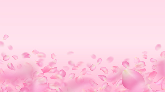 Pink rose petals vector template. Flying realistic voluminous blurred sakura petals with blur effect. Spring flower illustration for background, wallpaper, banner, romantic greeting card