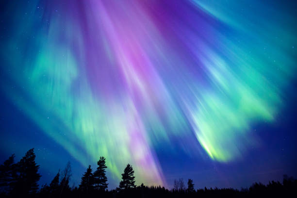 fabuleuses lumières boréales dans le ciel arctique - aurore boréale photos et images de collection