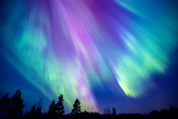 fabulous boreal lights in the arctic sky - aurora boreal imagens e fotografias de stock