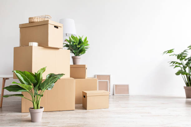 istock Empty room interior with boxes with belongings and plants in pots on floor on white wall background 1370270087