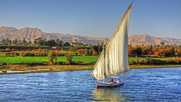 felucca nil - felucca boat stock-fotos und bilder