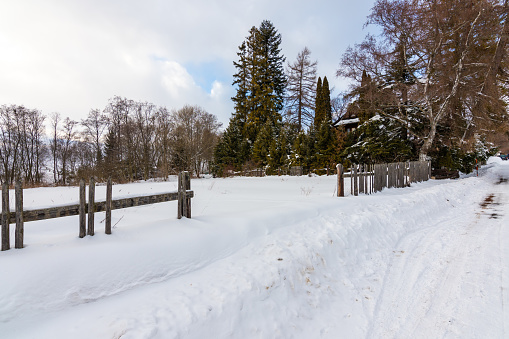 Meadow covered by snow in winter. Old wooden fence. Trees near.