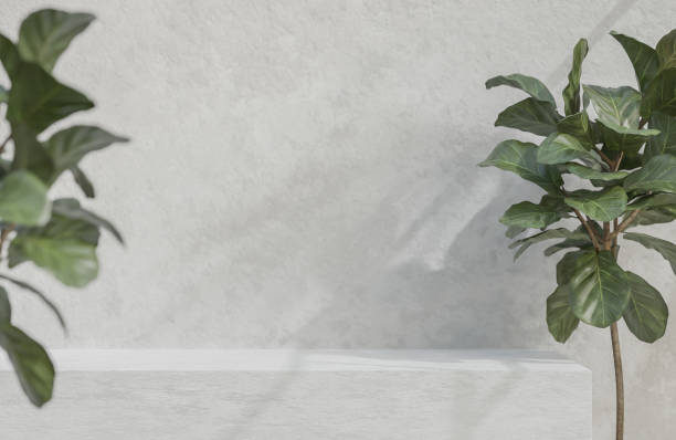 istock Concrete table counter with plant and concrete grunge texture background.,3d model and illustration. 1370278441