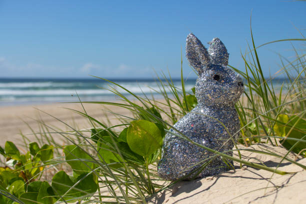 istock Silver sparkly glitter Easter Bunny at the beach.  Sitting on the sand surrounded with green grass.  Blue ocean and sky in the background. Gold Coast Queensland Australia 1370278485