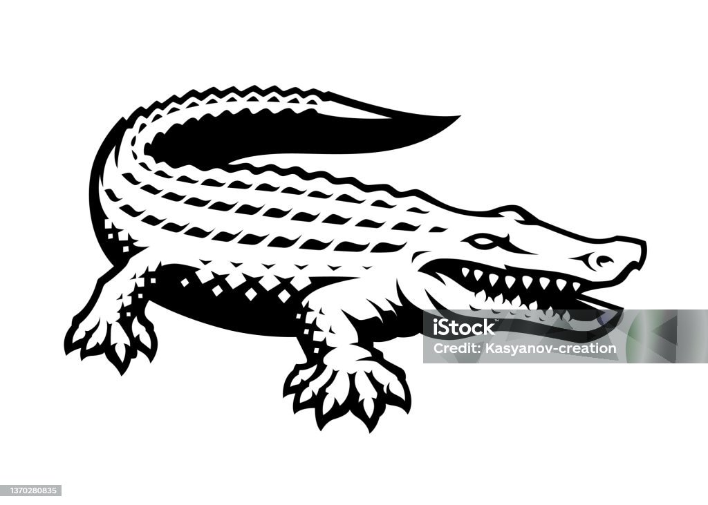 Alligator Point Vector Alligator Vector