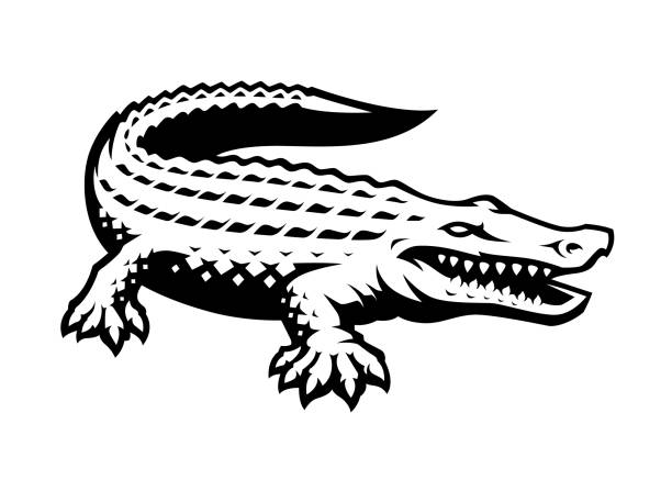 Alligator Vector Mascot Alligator Vector Mascot, sports emblem alligator stock illustrations