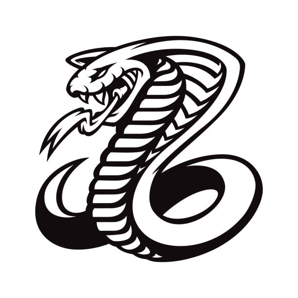 cobra vektor logo, - cobra stock-grafiken, -clipart, -cartoons und -symbole