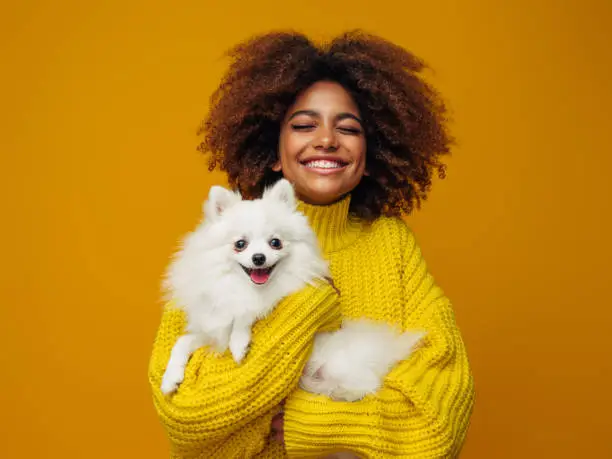 Photo of Studio portrait of smiling young african american girl  holding little dog