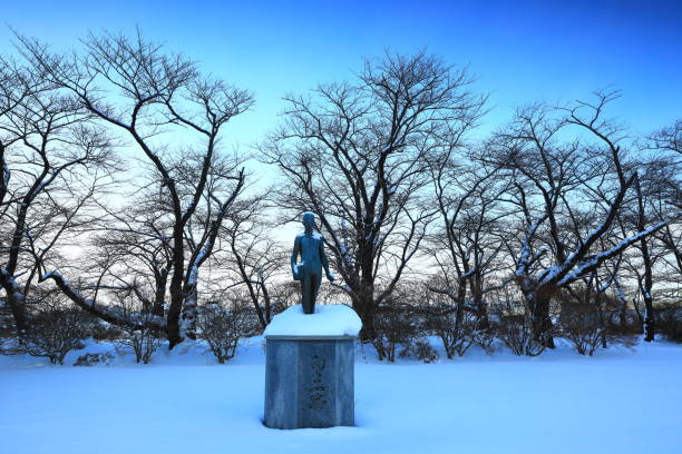 istock Row of cherry blossom trees in winter 1370281985