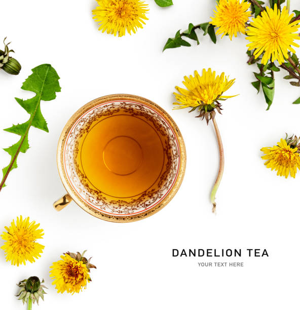 layout criativo do chá dente-de-leão - tea cup tea cup herbal medicine - fotografias e filmes do acervo