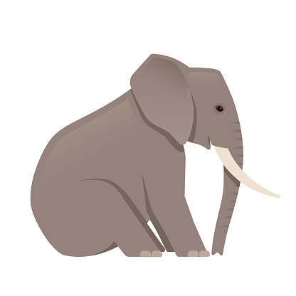 African elephant sitting. Vector illustration isolated on white background