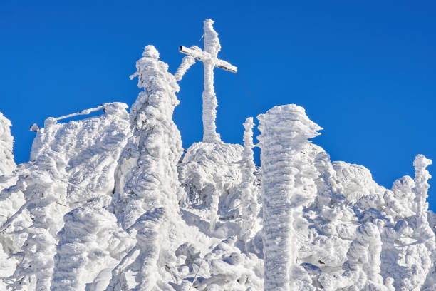 The summit cross of the Dreisesselberg, mountain peak in winter (Czech: Třístoličník), Bavarian Forest, 1,333 metres high. Neureichenau / Haidmühle municipality, Freyung-Grafenau district, Lower Bavaria, Bavaria, Germany. Trees and landscape covered by wind, snow and ice, transforms the mountain into a winter dream, winter fairy tale, magic land. German translation: The summit with its summit cross of the Dreisesselberg in winter (Czech: Třístoličník), Bavarian Forest, 1,333 meters high. Neureichenau / Haidmühle, Freyung-Grafenau district, Lower Bavaria, Bavaria, Germany. Trees and landscape covered by wind, snow and ice, transforms the mountain into a winter dream, winter fairy tale, magic land. dreisesselberg en invierno, cruz de cumbre, bosque bávaro, neureichenau, freyung-grafenau, baja baviera, baviera, alemania / kipfelkreuz des dreisesselberg en invierno, municipio de neureichenau, parque nacional del bosque bávaro, baja baviera, baviera,