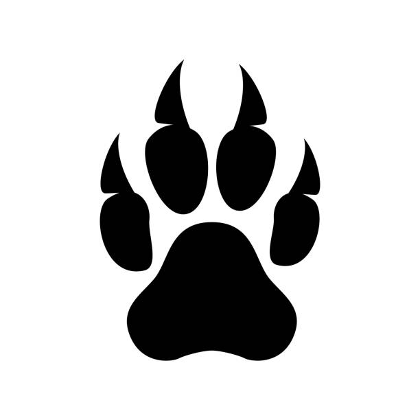 Paw Prints vector art illustration