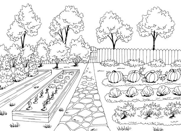 ogród warzywny grafika czarny biały szkic krajobrazu ilustracja wektor - gardens stock illustrations