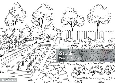 istock Vegetable garden graphic black white landscape sketch illustration vector 1370293839