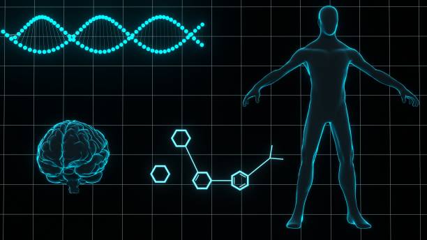 Physiology Pictures | Download Free Images on Unsplash