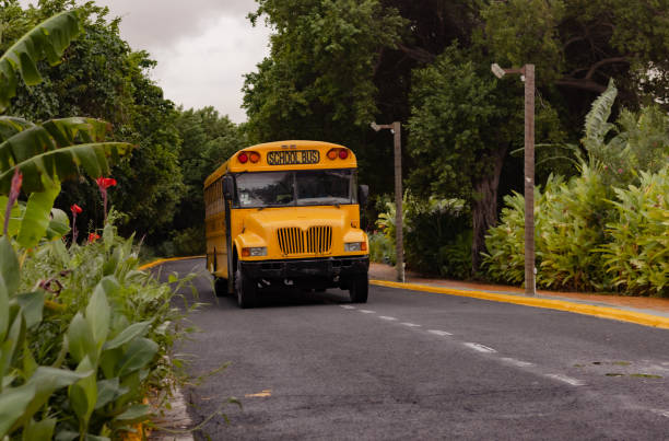 istock Yellow school bus on the road. 1370294902