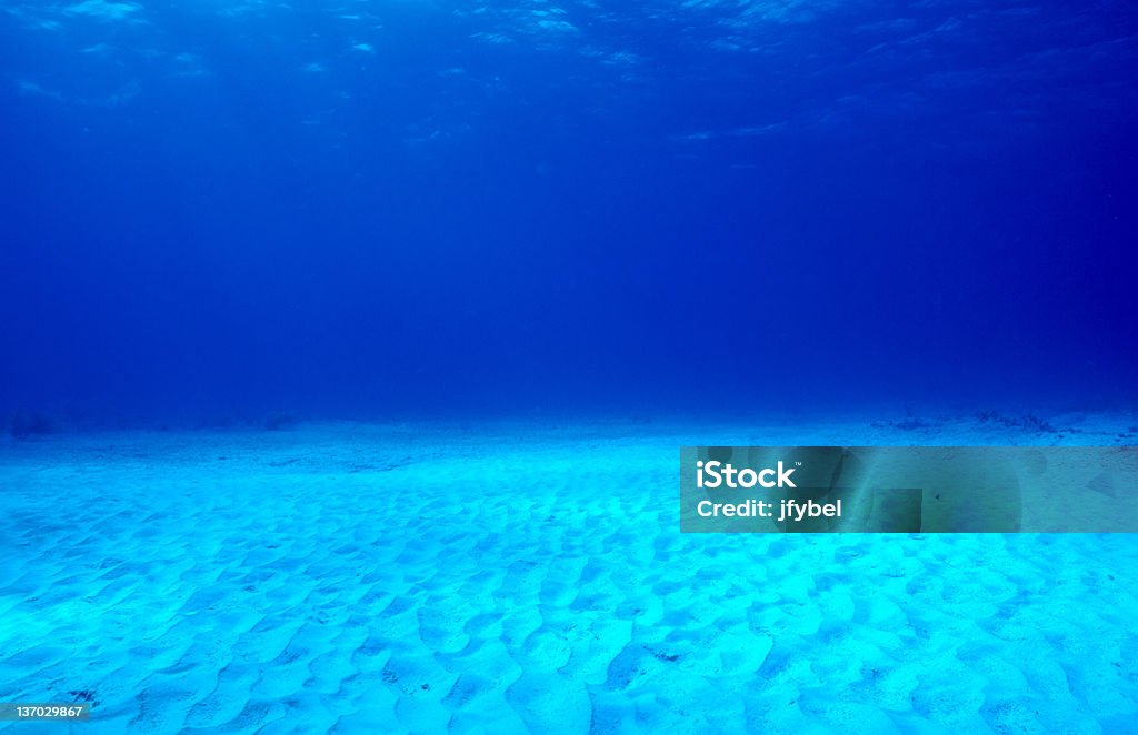 Mar Tropical piso - Foto de stock de Agua libre de derechos