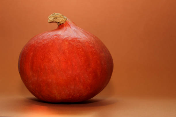 istock Single fresh orange miniature pumpkin isolated on orange background. 1370302063