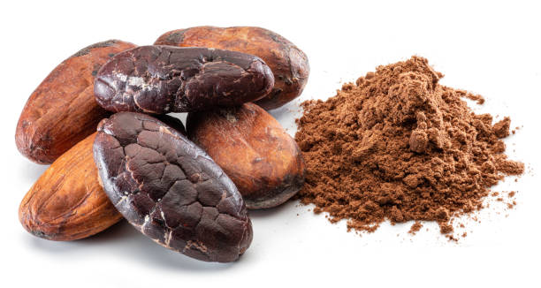 istock Cocoa beans and cocoa powder close-up on white background. 1370303439
