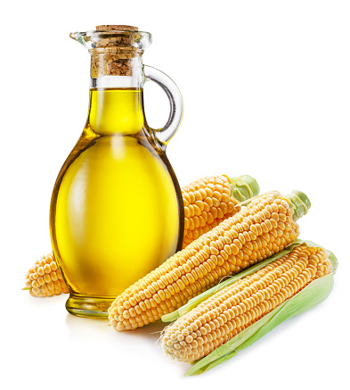 Bottle of maize oil corn ears isolated on white background. The most popular of vegetable oils.