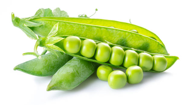 perfekte grüne erbsen in schote isoliert auf weißem hintergrund. - green pea pea pod sweet food freshness stock-fotos und bilder