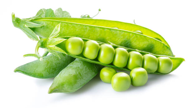 guisantes verdes perfectos en vaina aislada sobre fondo blanco. - pigeon pea” fotografías e imágenes de stock