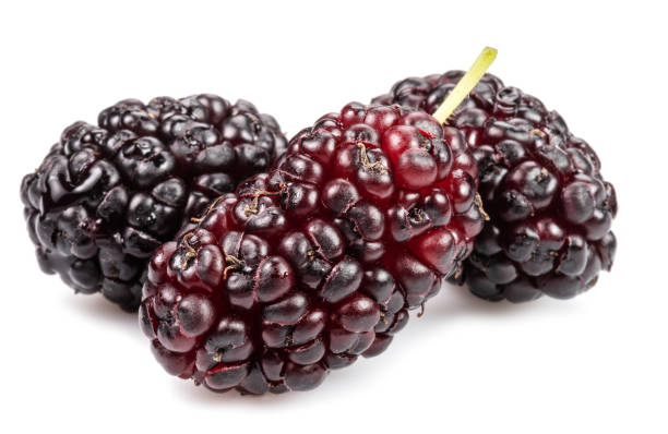 istock Three ripe black mulberries fruits isolated on white background. 1370303882