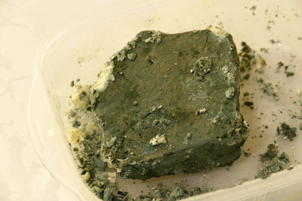 istock Moldy Cheese in a Plate, Moldy Green Cheese, 1370304705