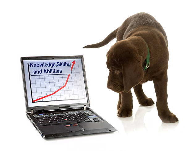istock Puppy Takes Interest in Technology 137030527
