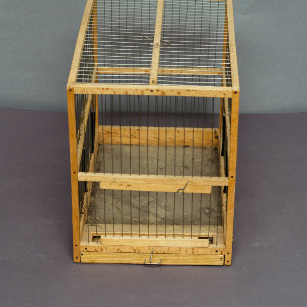 istock Old wooden birdcage on gray background. Handmade empty cage. 1370305430