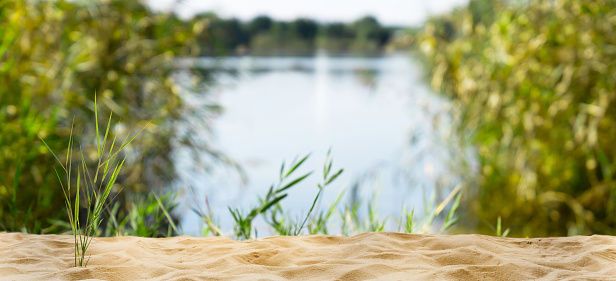 beautiful wild nature idyll lakeside in summertime with reed grasses, empty bathing sand beach in foreground, blurred water and blue sky background with copy space, nature background concept