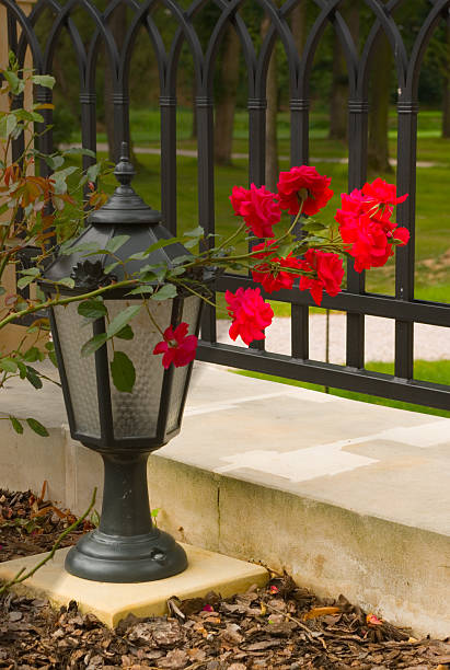 istock Garden lamp in roses 137030832