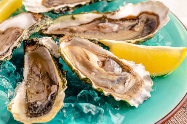 istock Opened fresh oysters on a blue plate, served with lemon and ice. 1370310950