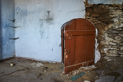 Old entrance door of abandoned basement in village on natural background. Old traditional house in Moldova.