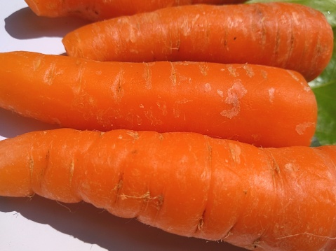 carrots that have been washed until clean