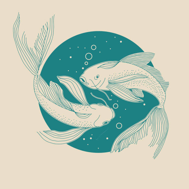 ilustrações, clipart, desenhos animados e ícones de peixes cósmicos no círculo do céu noturno - pisces
