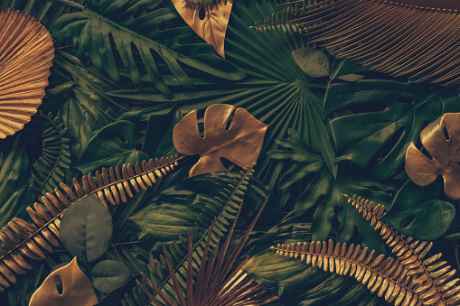 Creative nature background with golden and green tropical palm leaves. Minimal summer abstract forest or jungle pattern.