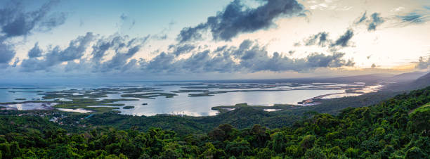 vista aérea panorámica de los bosques de manglares al atardecer en el parque nacional morrocoy, venezuela. - falcon fotografías e imágenes de stock