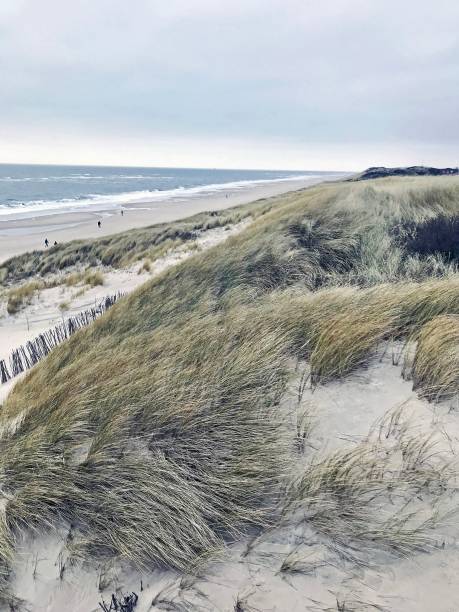istock Beautiful Dune Landscape on Sylt 1370317628